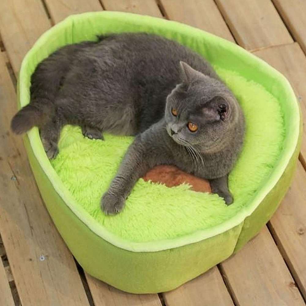 Avocado Pet Bed